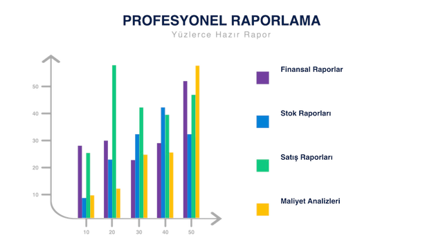 Profesyonel Raporlar